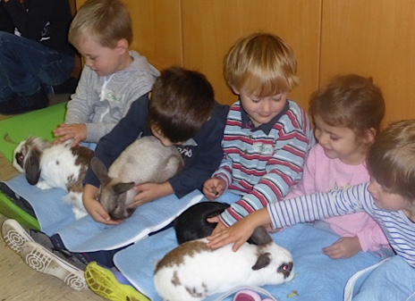 Kinder treffen Fellnasen