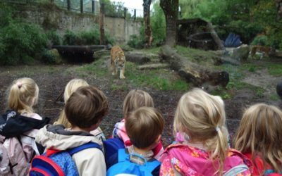Ausflug der Vorschulkinder