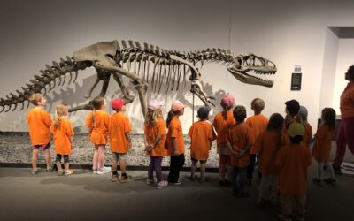 Ausflug ins Museum und in den Münster Zoo