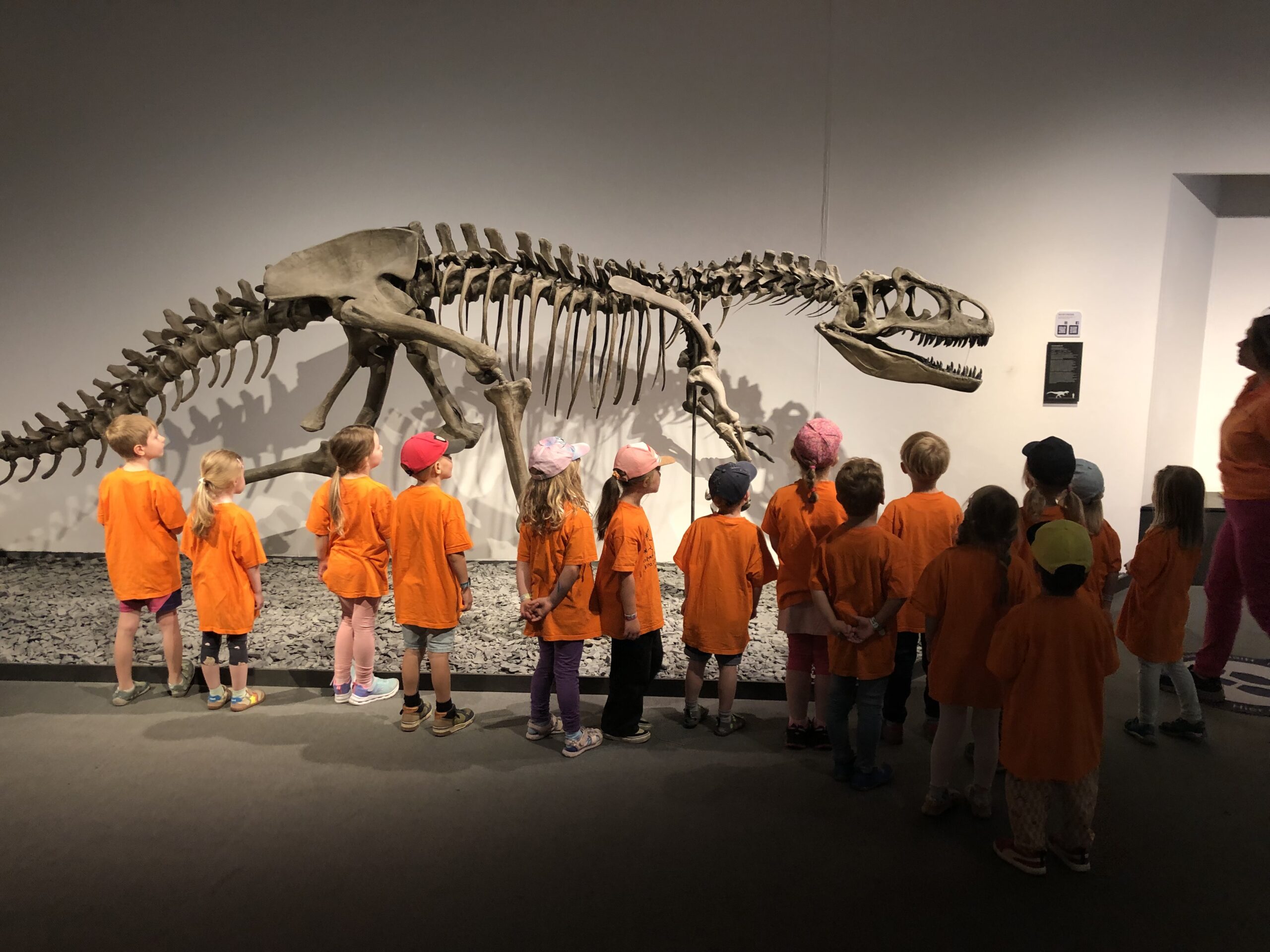 Ausflug ins Museum und den Zoo in Münster